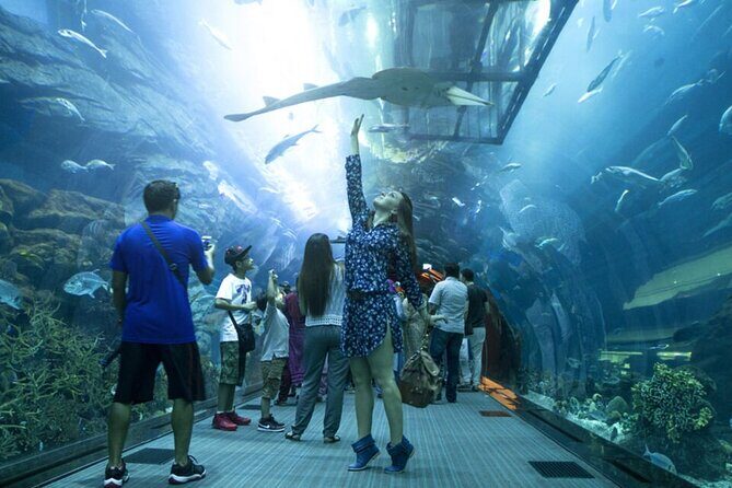 Burj Khalifa and Dubai Aquarium with Penguin Cove Combo - Who this combo suits best