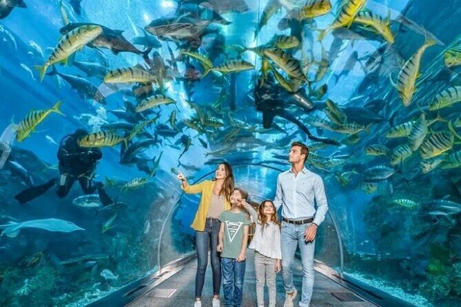 Burj Khalifa and Dubai Aquarium with Penguin Cove Combo - Dubai Aquarium & Underwater Zoo: Tunnel of Wonders and 10 million litres