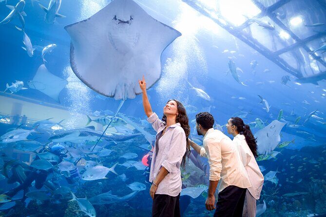 Burj Khalifa At the Top & Dubai Aquarium Combo Entrance Tickets - Who this Burj Khalifa + Aquarium combo suits best