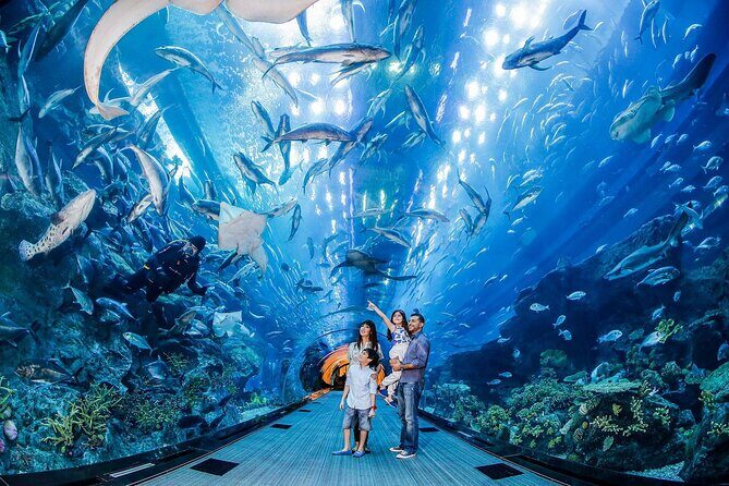 Burj Khalifa At The Top & Underwater Zoo Aquarium with Transfer - A Practical Itinerary Walkthrough (Without the Stress)