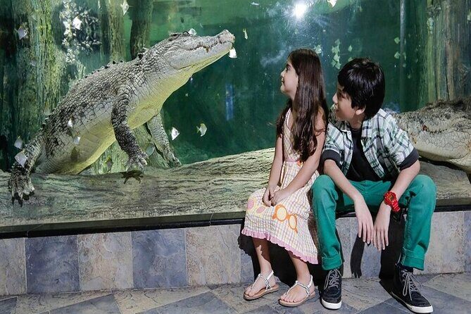 Burj Khalifa At The Top & Underwater Zoo Aquarium with Transfer - What to Bring and How to Plan Your Day