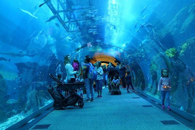 Burj Khalifa, Dubai Aquarium & UWZ with Penguin Cove Entry Ticket - Photo and View Tips That Actually Matter (Heat, Glass, and Telescopes)