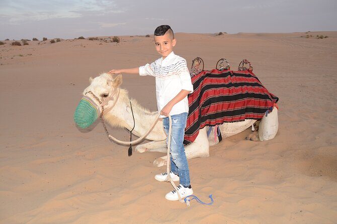 Camel Ride, Dune Bashing & Live Shows with BBQ Dinner in Dubai - Pickup from Dubai or Sharjah, and why the 3:00 pm start feels right