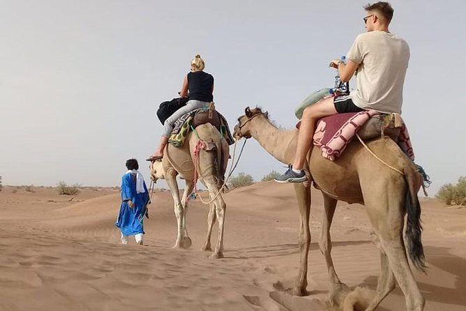 Camel Ride in Desert with Dune Bashing, BBQ Dinner and Belly Dance - Key things I’d bookmark before you go