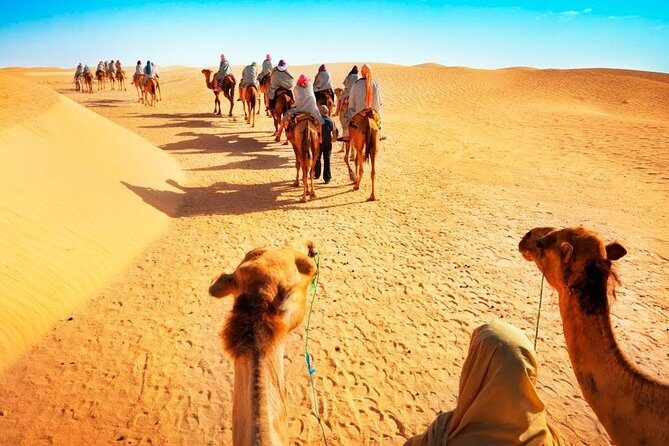 Camel Ride in Desert with Dune Bashing, BBQ Dinner and Belly Dance - Camel ride and sand boarding: what you actually do in the desert
