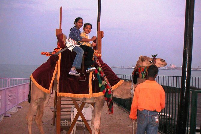 Camel Ride in Desert with Dune Bashing, BBQ Dinner and Belly Dance - Value and who this camel-and-dunes day makes sense for