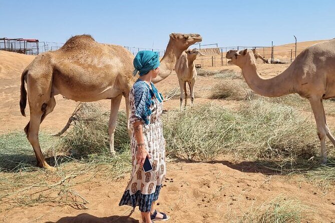 Camel Ride Safari in Red Dunes - What’s included (and what to plan for)