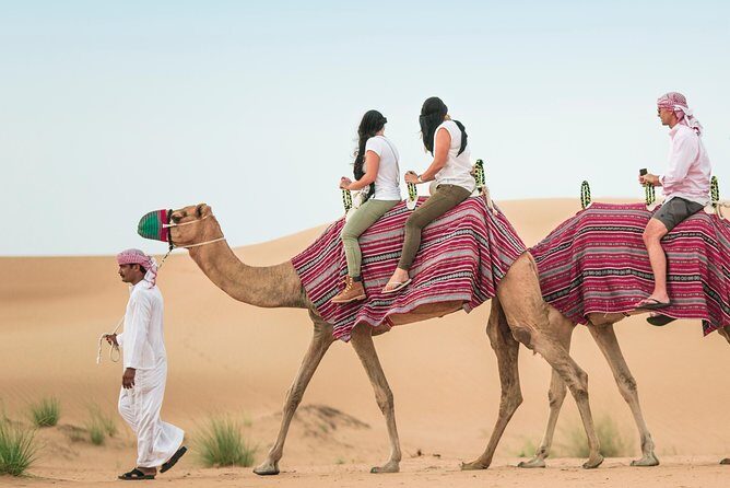 Camel Trekking Dubai with Dune Bashing and Sand Boarding - Sand boarding: sliding down dunes without overthinking it