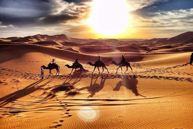Camel Trekking Dubai with Dune Bashing and Sand Boarding - Camel trekking for about an hour: the calm contrast