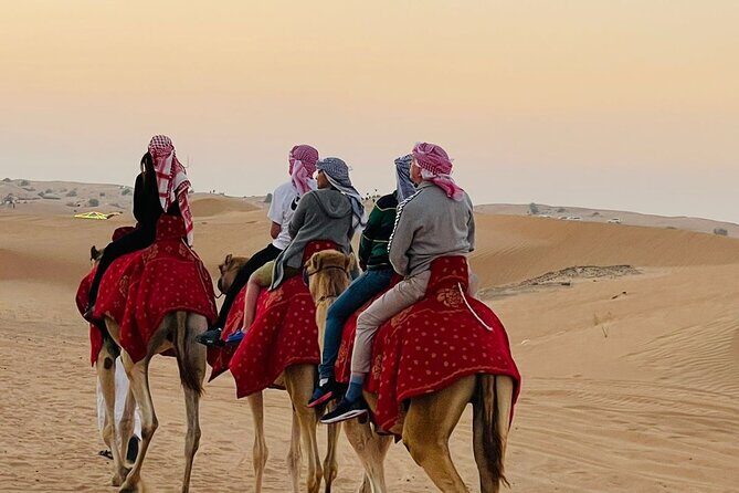 Camel Trekking in Dubai Desert with BBQ and Live Shows - Key Highlights You’ll Actually Notice