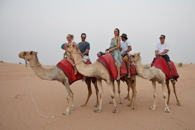 Classic Dubai Desert Safari with BBQ Dinner and Camp activities - Quad Bikes: Fun Add-On or Time Trap?