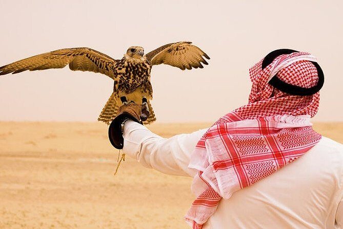 Combo Tours: Half-Day Dubai City Tour With Evening Red Dunes Desert Safari - How the 9:00 am pickup and 10-hour flow really feels