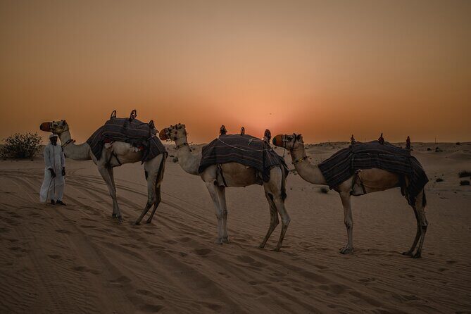 Combo:Private Desert Safari + dinner & ATV Self-drive/Quad Bike - Red Dunes dune bashing plus sandboarding: the classic hits