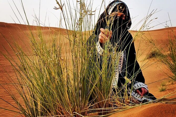 Cultural Desert Safari with dune bashing and BBQ dinner - Price and value: what you get for about $78