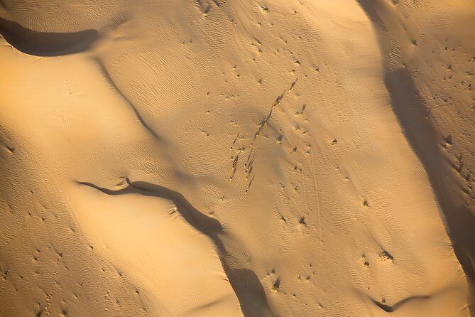 Deluxe Hot Air Balloon Ride with Breakfast & Flight Falcon Show - Above the dunes for 45 minutes to 1 hour: wildlife spotting and photo strategy