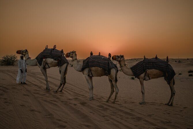 Deluxe Sunset Desert Safari: SandSurfing, Camel Ride & BBQ dinner - Sandboarding and the Sunset Photo Stop: How to Use the Golden Hour