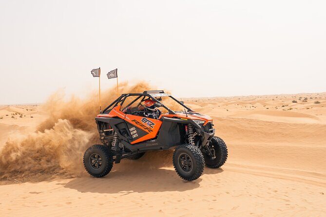 Desert Buggy Tours in Dubai - Wildlife you might spot and sand boarding time