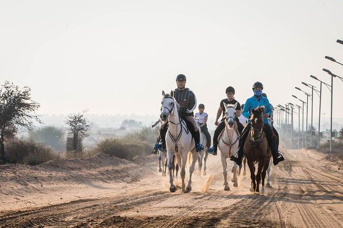 Desert Horse Riding- 1 Hour - Getting ready: safety briefing and the right horse for your body