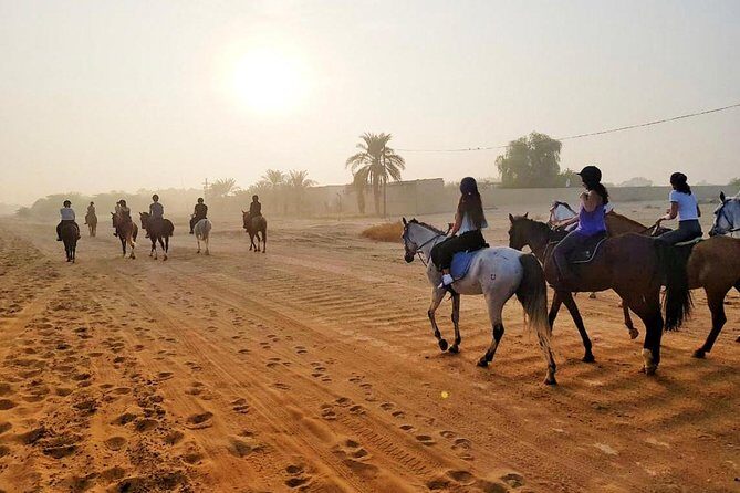 Desert Horse Riding Experience in Dubai - Key things to know before you go