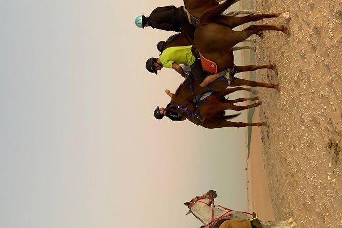 Desert Horse Riding Experience in Dubai - What you’ll actually do: dunes, sands, and a guided rhythm