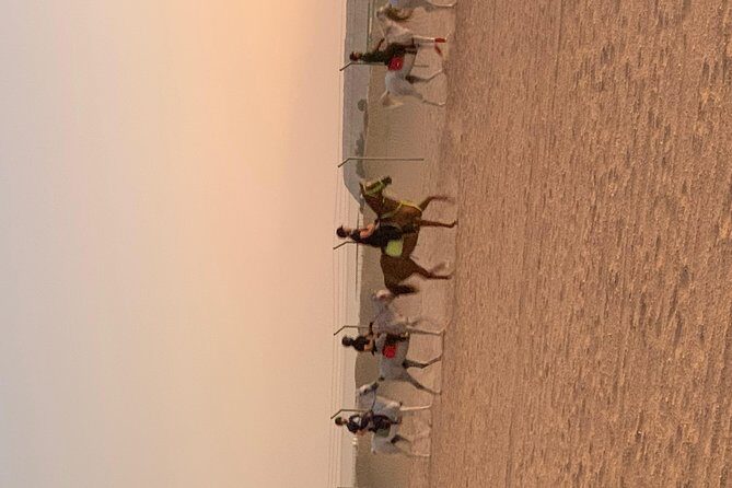 Desert Horse Riding Experience in Dubai - Price and value: is $68.77 per person worth it?