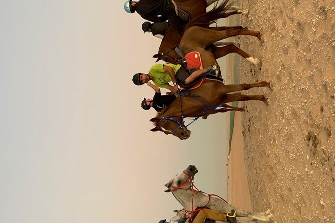 Desert Horse Riding Experience in Dubai - Who should book this horse ride—and who should think twice