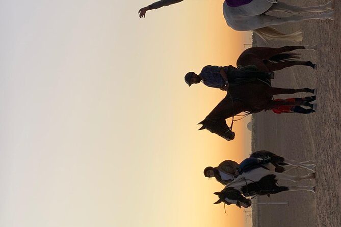 Desert Horse Riding Experience in Dubai - The horse-and-gear setup: built for first-timers