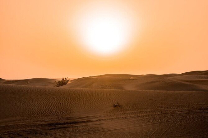 Desert Quad Biking Tour and Sand Boarding with Dinner in Dubai - Sandboarding on Red Dunes and Photo Stops That Actually Help