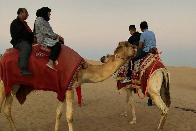Desert Safari a Thrilling and Fun-Filled Package #Desert Safari - Price and value: what $99 buys you in a single package
