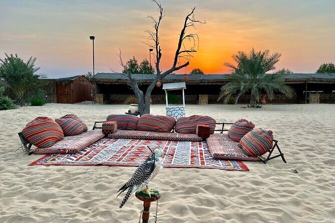 Desert Safari Abu Dhabi w/ Sand Boarding, Camel Ride & BBQ Dinner - Dinner plus belly dance and Tanoura: how the night portion works