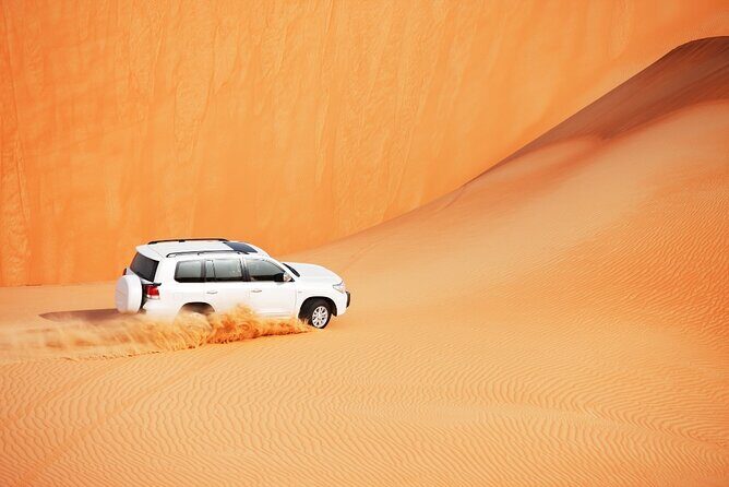 Desert Safari Abu Dhabi w/ Sand Boarding, Camel Ride & BBQ Dinner - Guide quality is the secret ingredient (Mohamed, Ali, Ashraf, Ajmal)