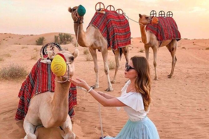 Desert Safari Adventure Dubai - Camel Riding and Henna: The Classic Desert Stuff
