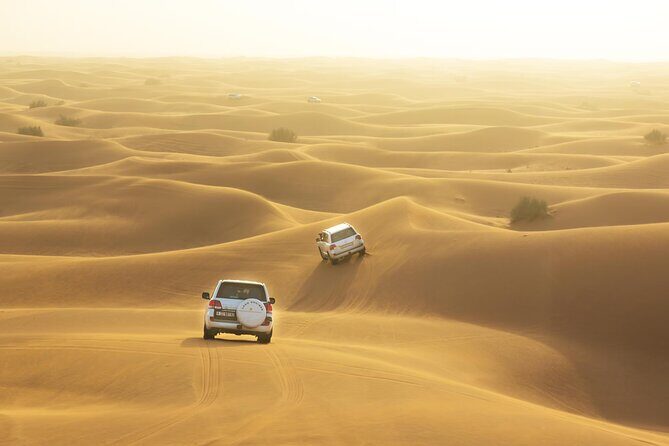 Desert Safari Adventure Hotel Transfer Camel Ride with Quadbike - Key Things I’d Nail Down Before You Go