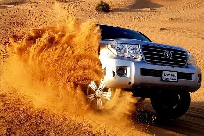 Desert Safari and Dhow Cruise Dinner Marina (Limited Offer) - The desert safari portion: more than a drive in the sand