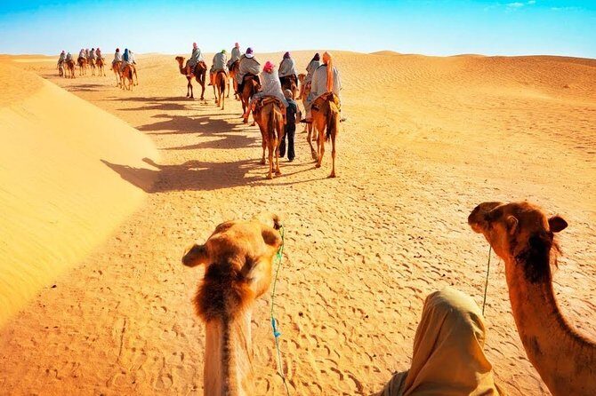 Desert Safari and Dhow Cruise Dinner Marina (Limited Offer) - Food and drinks: what you’re actually paying for