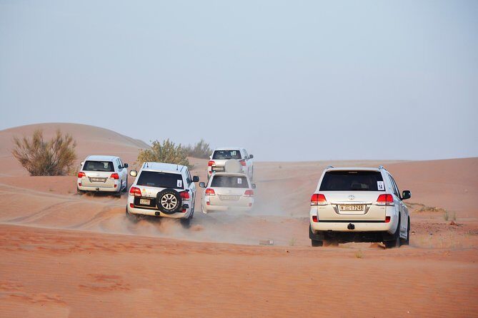Desert Safari Drive with BBQ Dinner - The People Factor: Why Guides Matter More Than You Think