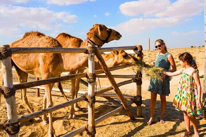 Desert Safari Dubai 30 Mins Quad Bike, Sand Board, Camel Ride BBQ - Who Should Book, and Who Might Want a Different Style?