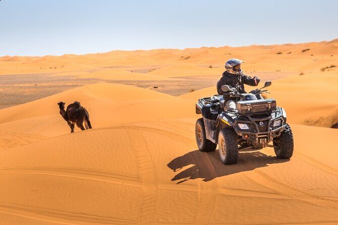 Desert Safari Dubai - Dune Bashing, Sandboarding, and Camel Ride: Your Three-Part Sand Fix