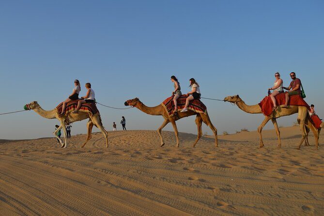 Desert Safari Dubai Experience with Dinner - Key highlights I’d put on your radar