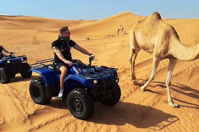 Desert Safari Dubai Experience with Dinner - Price and value: why about $35.72 can make sense