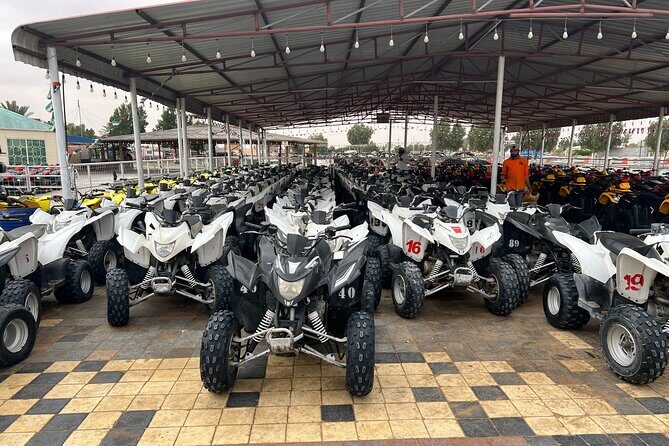 Desert Safari Dubai Live Shows Camel Ride Dinner with Quad Bikes - Price and Value: Does $70 Really Cover the Evening?
