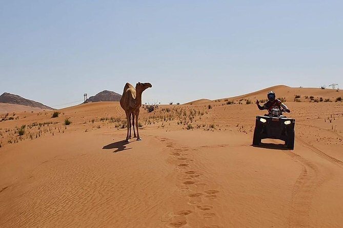 Desert Safari Dubai (PREMIUM VIP) - Live BBQ Dinner With Shows, Plus the Drinks and Veg Options
