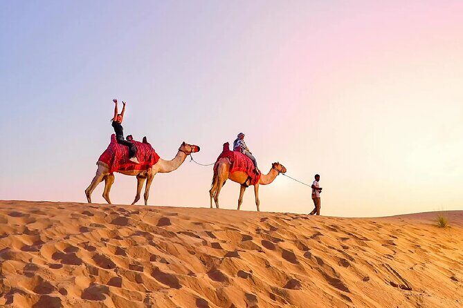 Desert Safari Dubai Sand Bashing, Camel Ride, Shows, Live BBQ - Live BBQ dinner under the stars: why the meal matters here