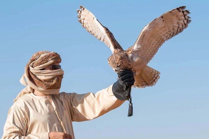 Desert Safari Dubai Sand Bashing, Camel Ride, Shows, Live BBQ - The pickup to Lahbab Desert run: what to expect from the first hour