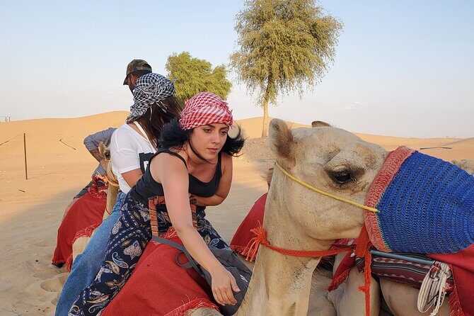 Desert Safari Dubai (VIP Package ) - Pickup, transport, and group size: the comfort trade-offs