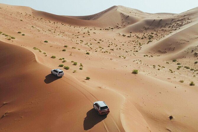 Desert Safari Dubai with Dune Bashing, Activities and Dinner - Quick takes: what makes this safari work