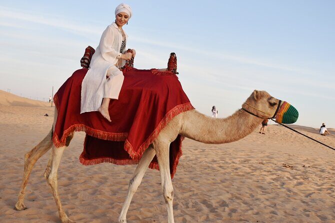 Desert Safari Dubai with Dune Bashing, Activities and Dinner - Price and value: what $50 buys in real terms