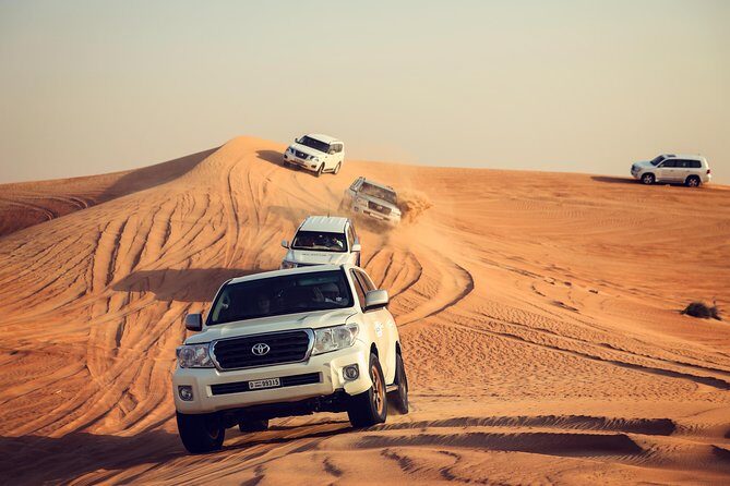 Desert Safari Experience - Arabian Safari - Key things to know before you go