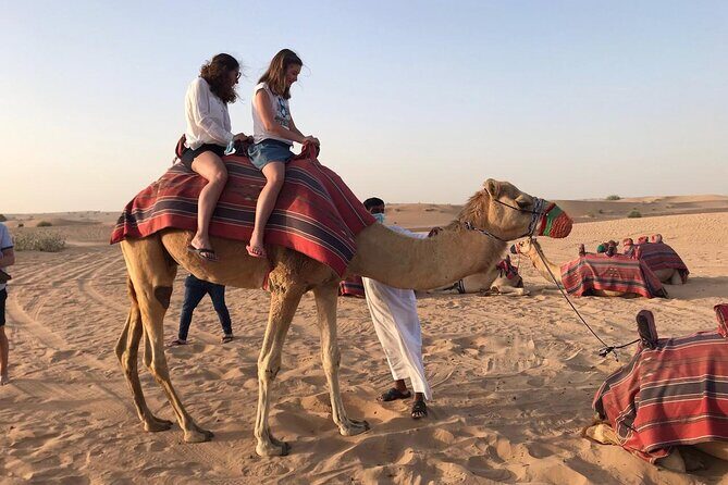 Desert Safari in Dubai - Why This 6-Hour Desert Safari Works in Dubai