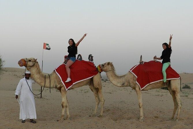 Desert Safari in Dubai Red Dunes with BBQ Dinner Private Tour - Dinner Format: BBQ, Veg Options, and How the Night Gets Structured